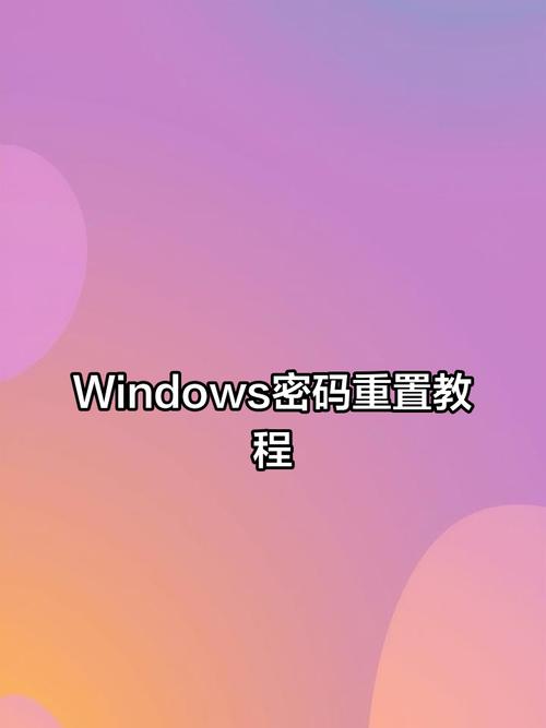 windows 安全 输入网络密码
