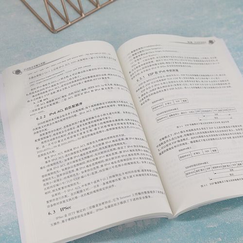 h3c网络学院系列教程 ipv6技术