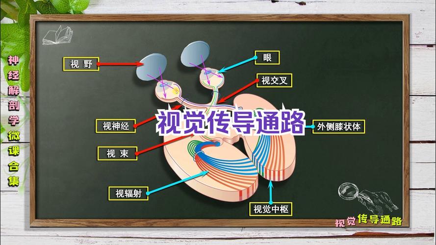 follow snap视觉跟踪技术
