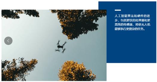 无人机大战drone wars