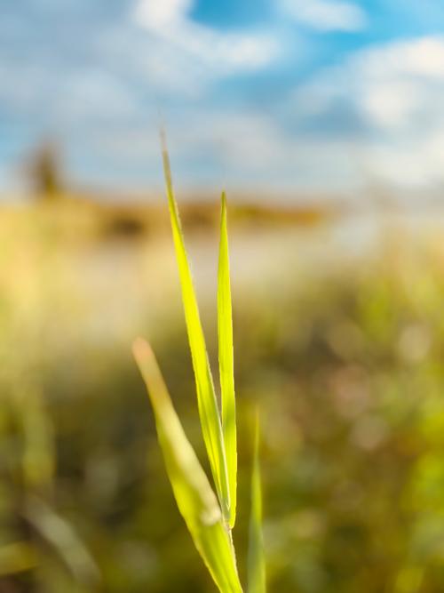 无人机大战drone wars