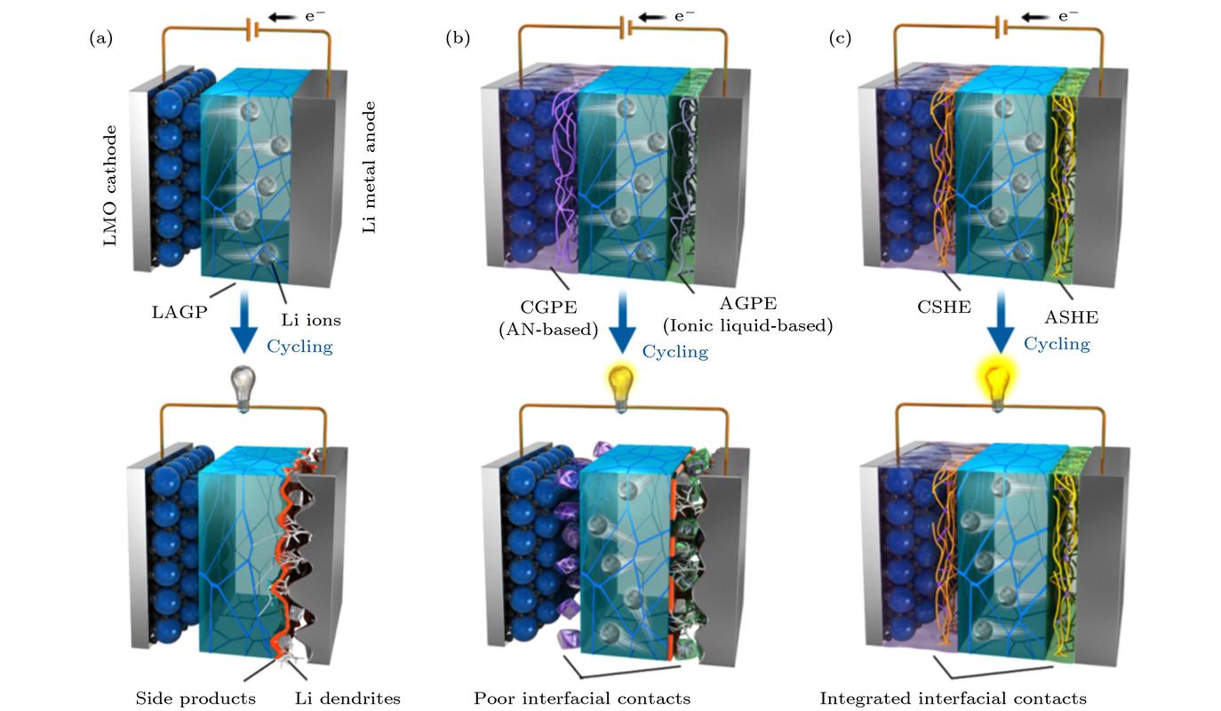 Gold Phantom LR技术是什么？-图2