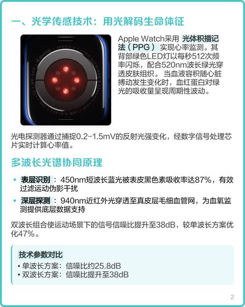 Apple Watch心率监测技术有多精准可靠？-图1