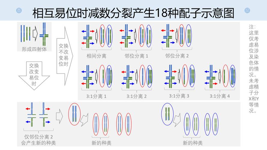 AdaptiveSync同步技术如何实现画面流畅？-图3