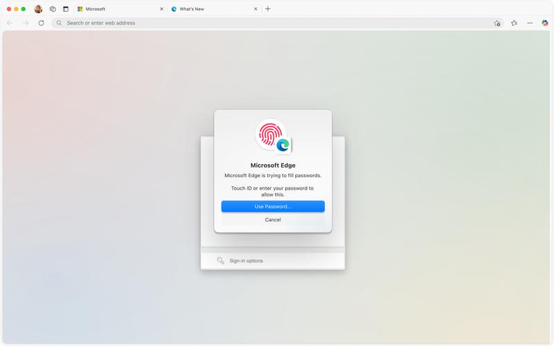 Microsoft网络客户端是什么？-图2