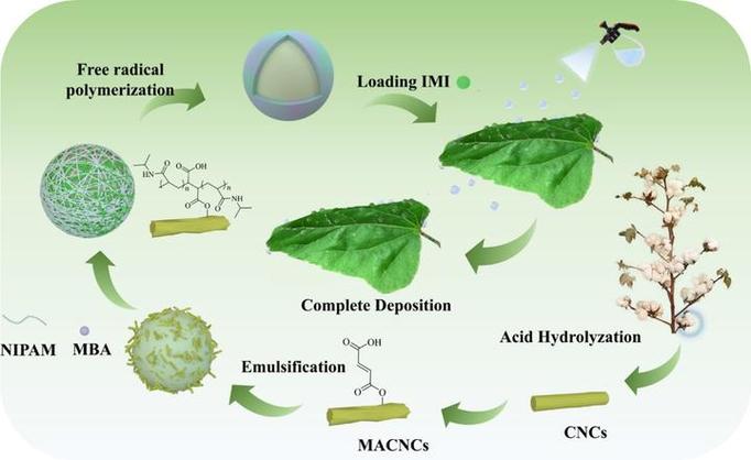 amplifier气流倍增技术-图1