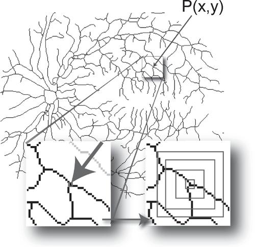 Chatroulette技术如何实现随机匹配与视频交互？-图2