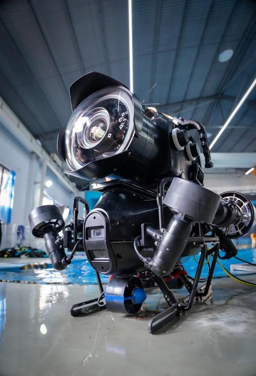 biki水下无人机拍到了什么水下画面？-图3