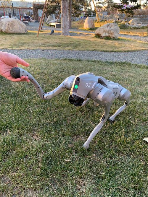 Airdog无人机怎么用？步骤是啥？-图1