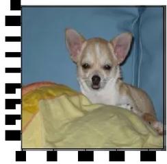 TensorFlow技术社区有哪些核心价值与优势？-图2