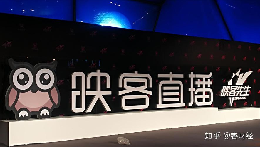 湖南映客互娱网络信息有限公司是做什么的？-图2