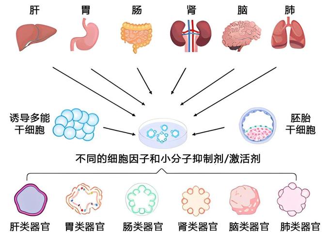 Clever Color技术如何实现色彩智能优化？-图1