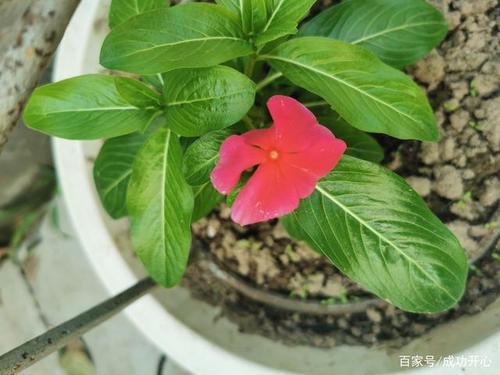 网络连接为何比平时慢这么多？-图2