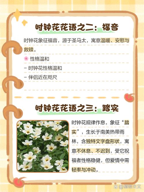 网络连接为何比平时慢这么多？-图1