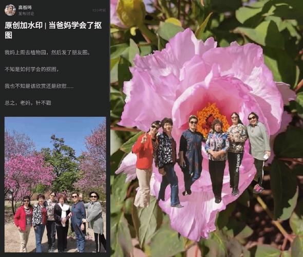 网络连接为何比平时慢这么多？-图3