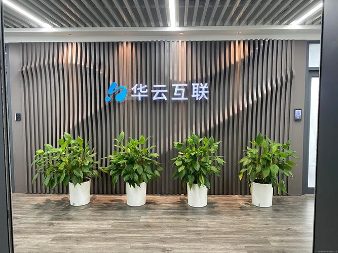 无锡华云数据技术服务有限公司做什么的？-图1