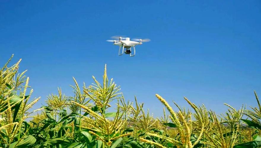 精灵4无人机为何会丢卫星信号？-图2