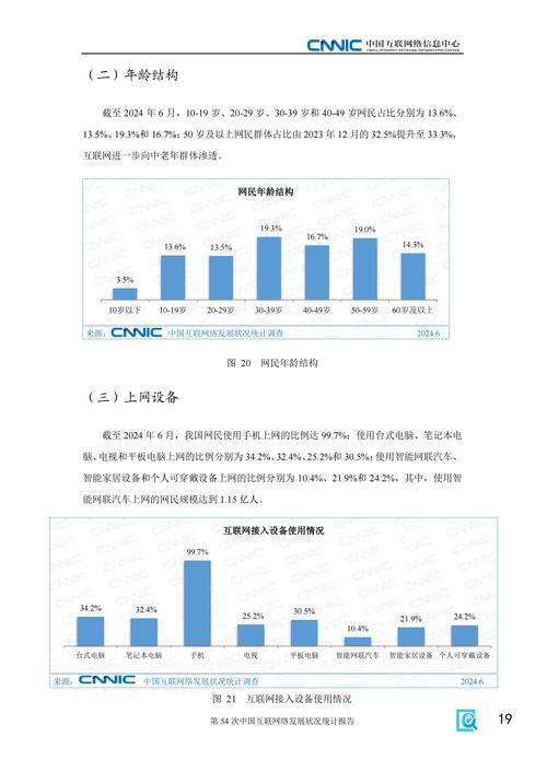 中国互联网络发展状况如何？-图1