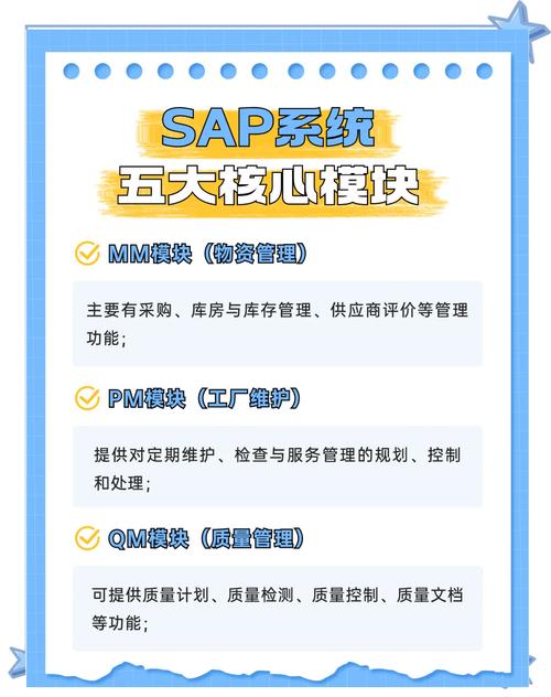 SAP管理技术核心是什么？-图1