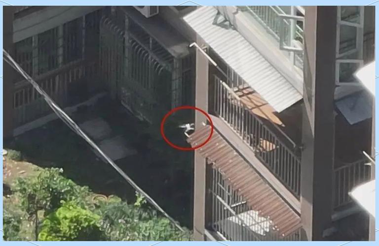 双流机场为何频遭无人机黑飞？-图3