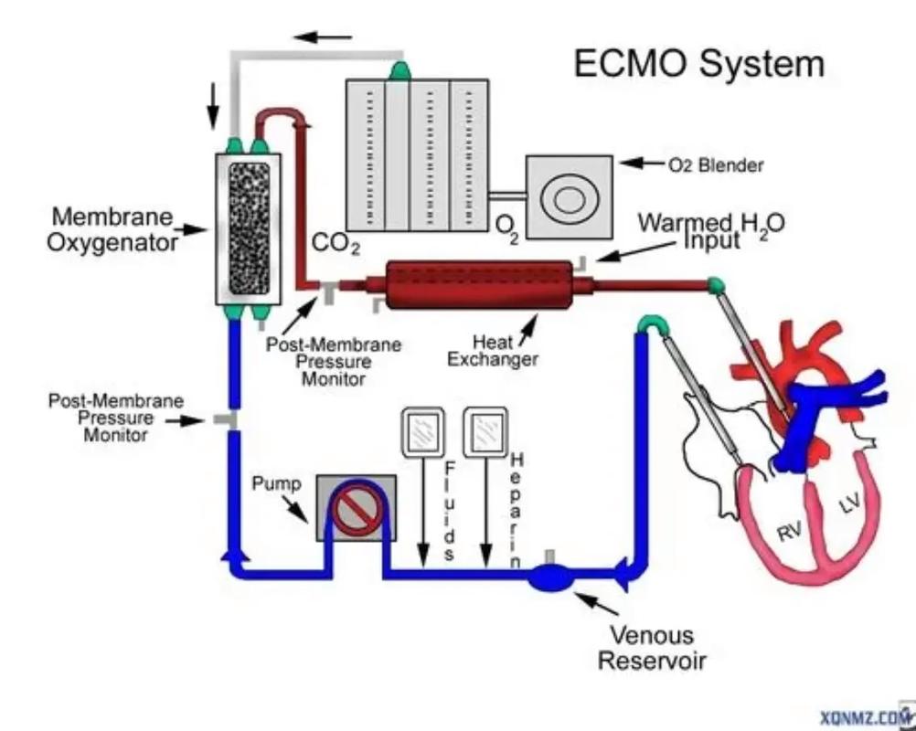 Inter快速启动技术如何实现高效启动？-图1
