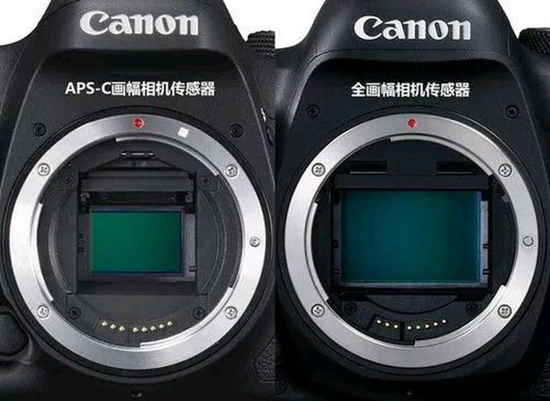 佳能与索尼CMOS技术，谁更胜一筹？-图1