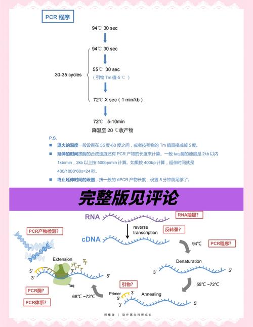 Flowspec技术到底是什么？-图3
