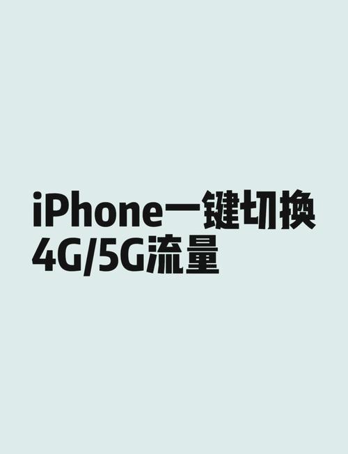 苹果手机如何开启4G网络？-图1