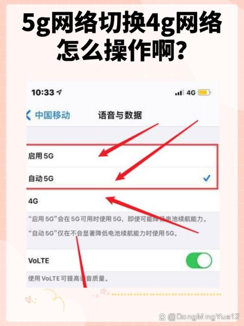 苹果6如何设置4G网络？-图2