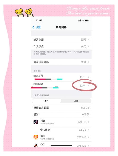 苹果6如何设置4G网络？-图3