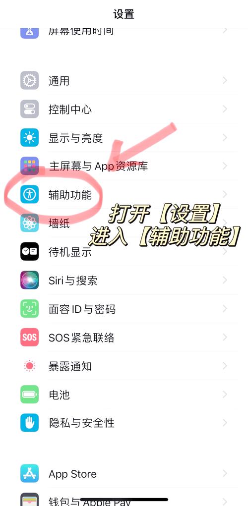 iPhone如何开启网络共享？-图1