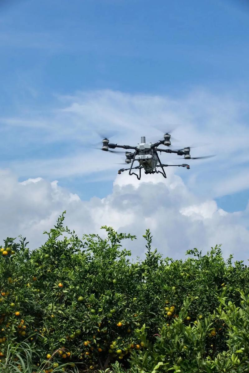 不同滤镜如何改变无人机拍摄效果？-图2