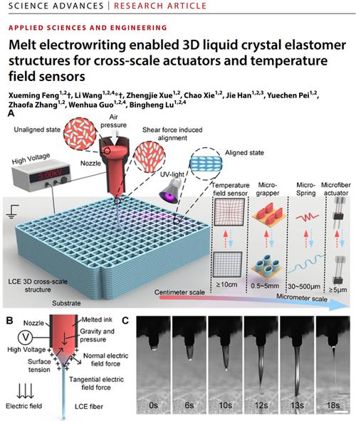 TDDP植发技术与3D技术有何关联？-图3