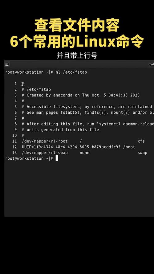 linux 查看网络 命令-图1