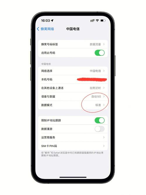 iphone5设置4g网络-图2