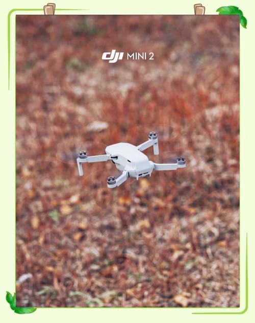 大疆Mini无人机对焦速度与精度如何？-图3