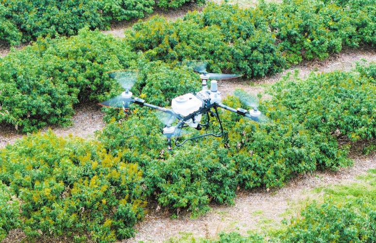 极飞植保无人机如何高效应用于果树种植？-图2