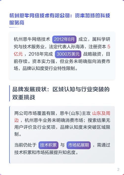 杭州恩牛网络技术有限公司是做什么的？-图1