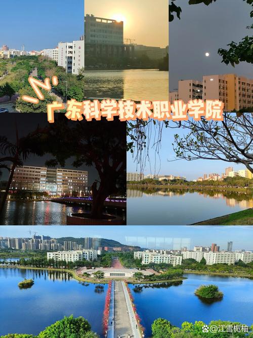 广东科学技术职业技术学院-图1