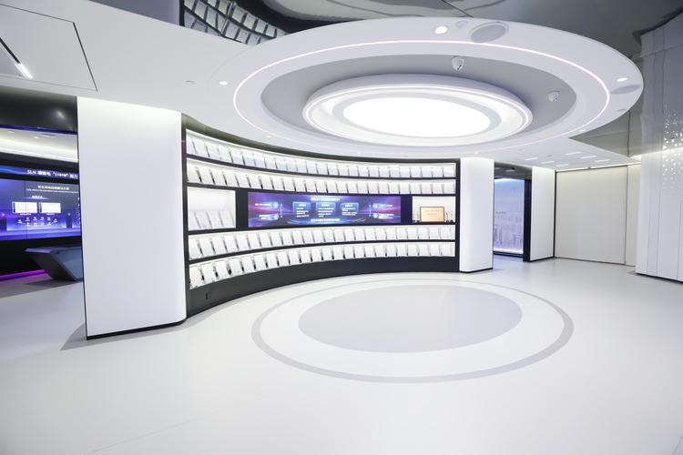 世纪网通深圳数字技术有何突破？-图2