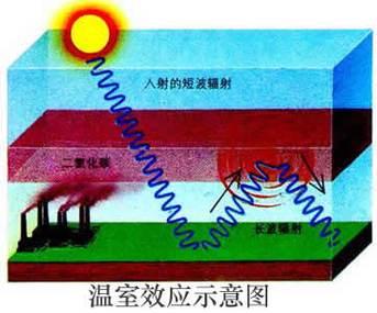 生物增强技术能否应对全球变暖挑战？-图2