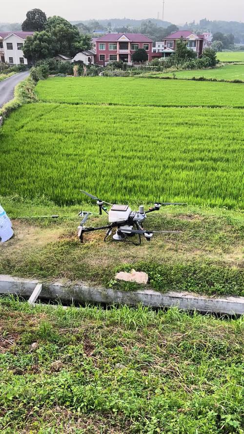 利用无人机低空遥感农业-图1