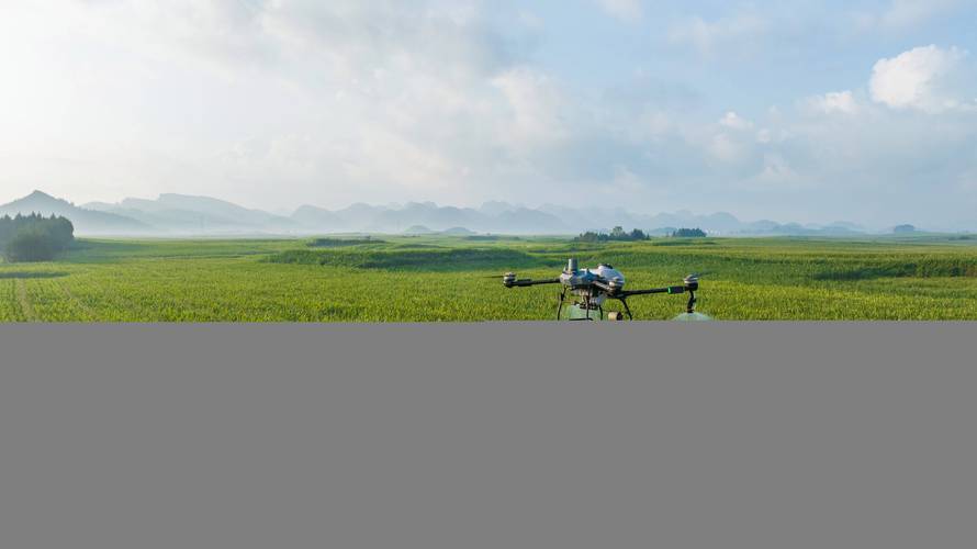 利用无人机低空遥感农业-图3