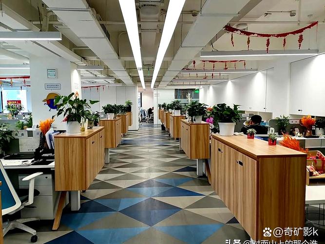 杭州妥妥网络科技有限公司是做什么的？-图1