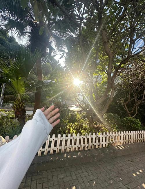 苹果Xmax拍照技术有何突破?-图1 苹果Xmax拍照技术有何突破?-图1