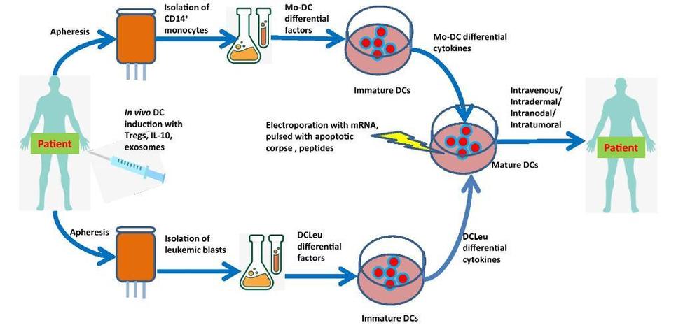 Cart技术最新成果有哪些突破？-图2