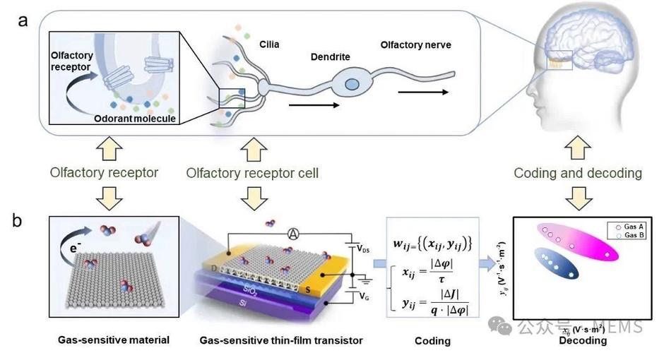 VOOC与Dash,谁快谁更实用?-图2 VOOC与Dash,谁快谁更实用?-图2