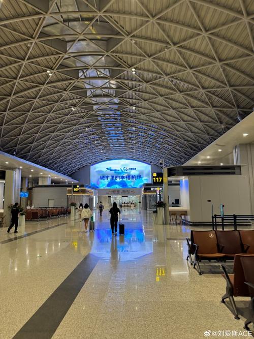 成都无人机为何逼停机场?-图3 成都无人机为何逼停机场?-图3