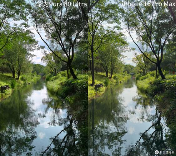 purview纯景技术-图1