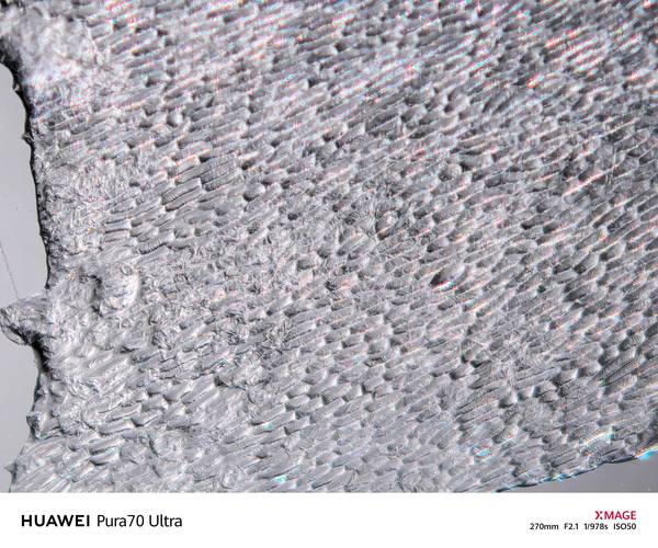 purview纯景技术-图2